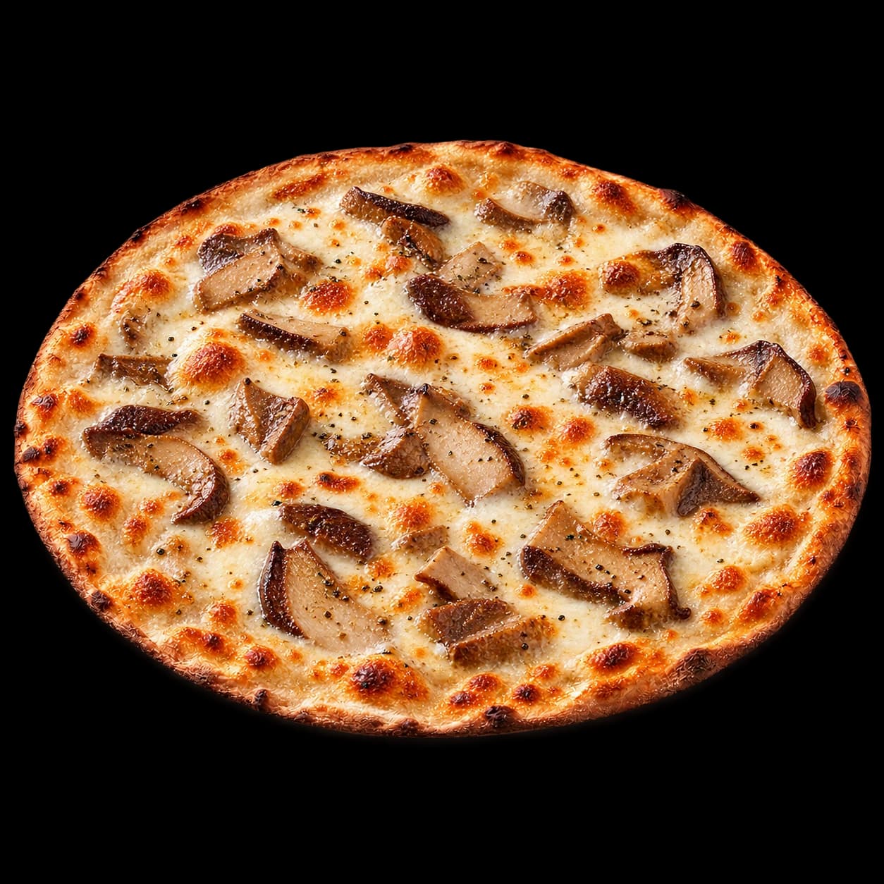 Porcini
